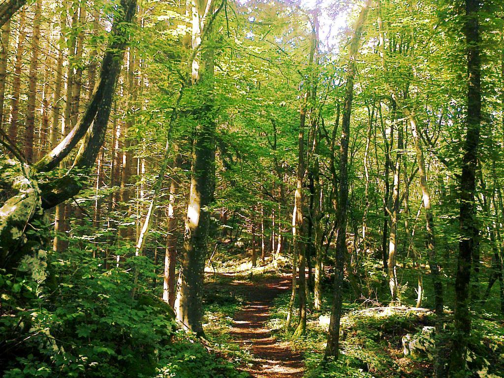 Rooms Jurca Postojna Exteriér fotografie